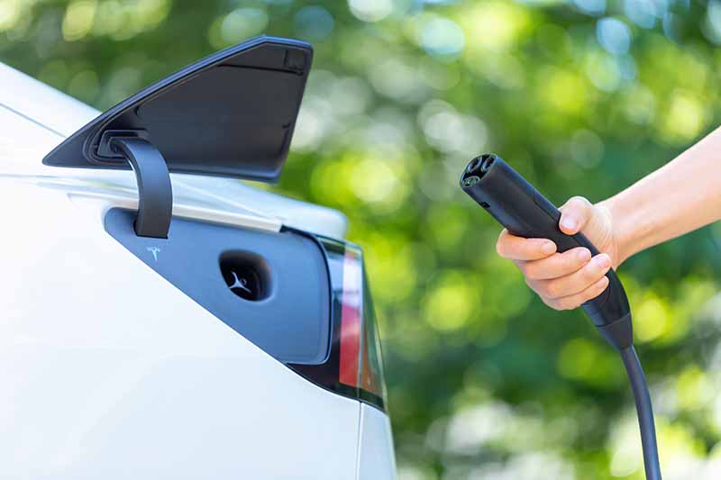 A person holding a charging adapter near an electric vehicle.