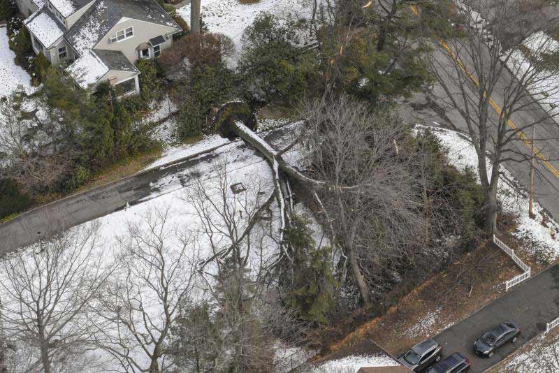 An aerial view of fallen tree in a suburban neighborhood. 