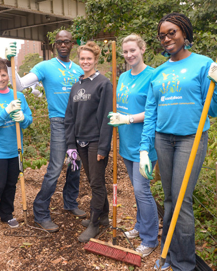 A group of Con Edison employees, working together in a community garden. 