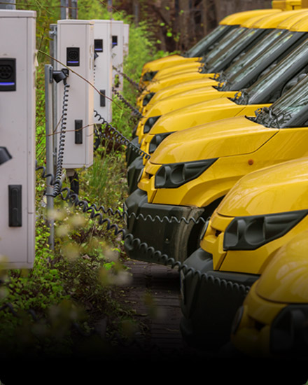 A row of yellow electric vehicles where each are plugged into separate charging stations. 