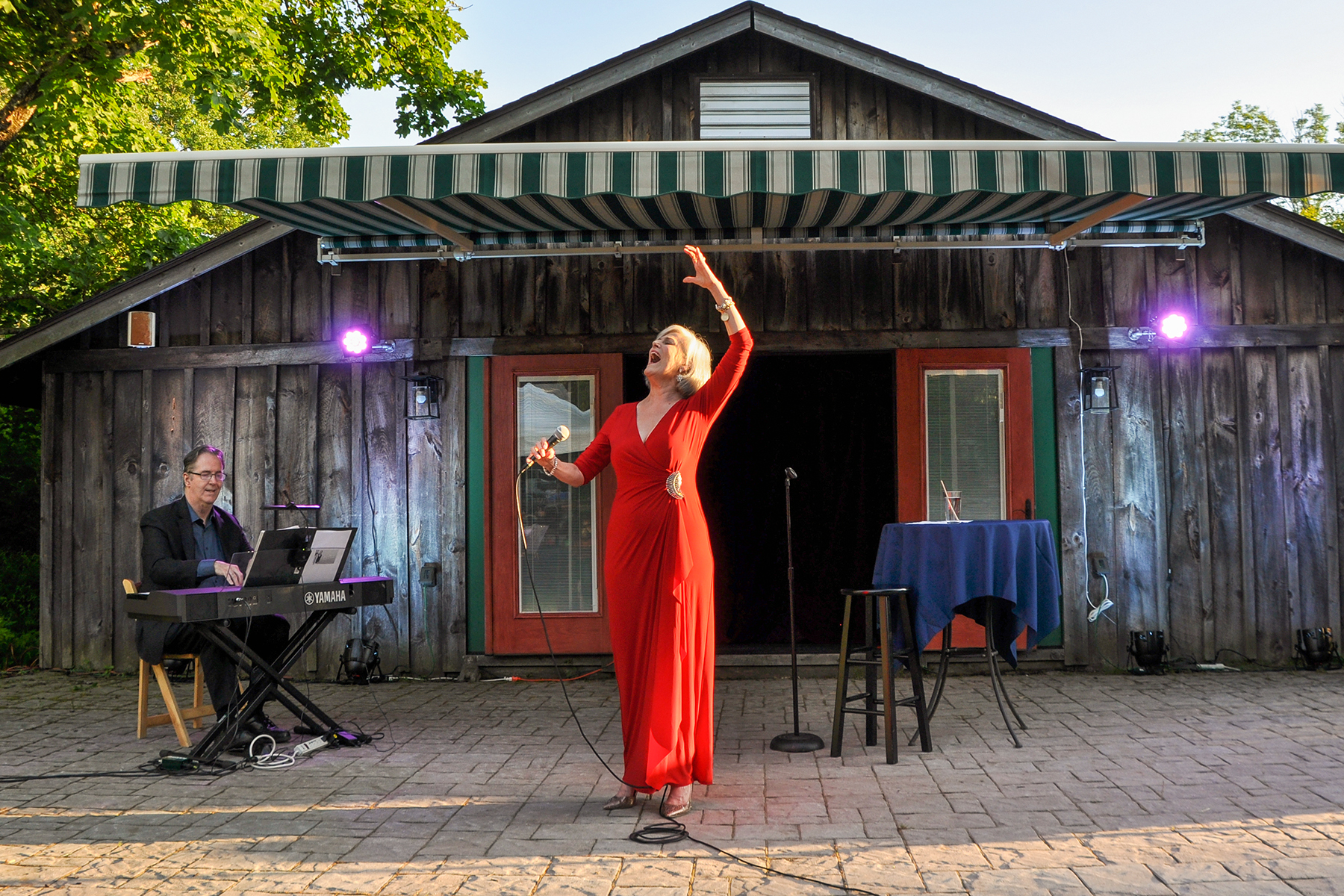 Sultry summer sounds under the stars mark a performance by singer Karen Mason at the musical cabaret on the grounds of the Forestburgh Playhouse. 